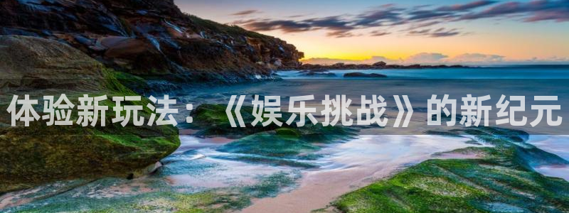 摩登7登录官网：体验新玩法：《娱乐挑战》的新纪元