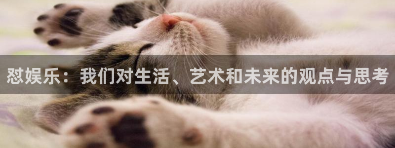 摩登7登录官网：怼娱乐：我们对生活、艺术和未来的观点与思考