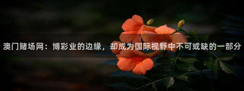 摩登7注册：澳门赌场网：博彩业的边缘，却成为国际视野中不可或缺的一部分