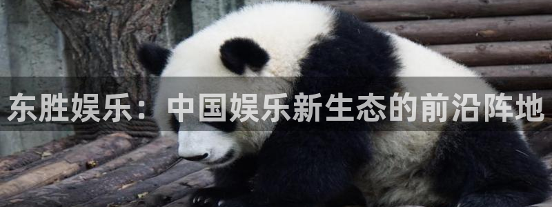 摩登7登录：东胜娱乐：中国娱乐新生态的前沿阵地