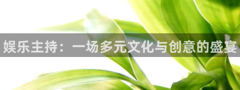 摩登7注册：娱乐主持：一场多元文化与创意的盛宴