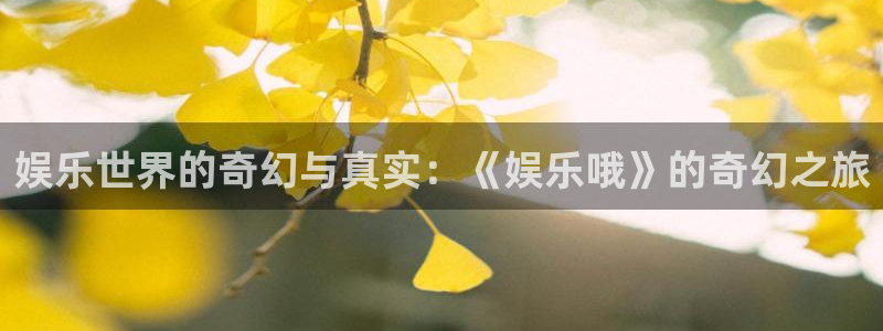 摩登7官网：娱乐世界的奇幻与真实：《娱乐哦》的奇幻之旅
